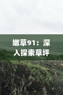 嫩草91：深入探索草坪维护与美化的专业知识，打造完美绿意空间 v6.2.1下载