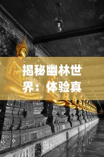 揭秘幽林世界：体验真实恐惧与解谜刺激的幽林怪谈手游冒险旅程