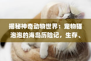 揭秘神奇动物世界：宠物猫泡泡的海岛历险记，生存、友谊与勇敢的挑战