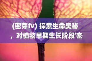 (密芽fv) 探索生命奥秘 ，对植物早期生长阶段'密芽'的深入研究与实验