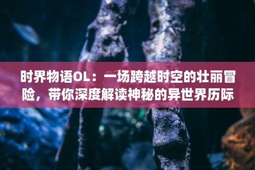 时界物语OL：一场跨越时空的壮丽冒险，带你深度解读神秘的异世界历际之旅