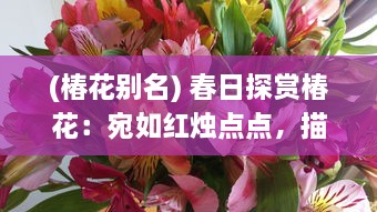 (椿花别名) 春日探赏椿花：宛如红烛点点，描绘出生命的讴歌与繁华盛景