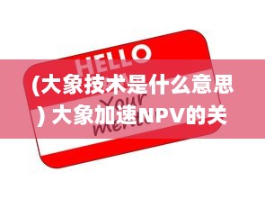 (大象技术是什么意思) 大象加速NPV的关键策略：提升企业净现值的有效途径与技巧