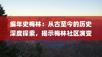 编年史梅林：从古至今的历史深度探索，揭示梅林社区演变的脉络与故事