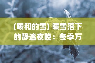 (暖和的雪) 暖雪落下的静谧夜晚：冬季万物生长的见证者与温暖的陪伴者