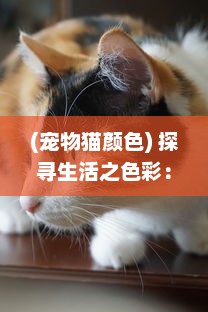 (宠物猫颜色) 探寻生活之色彩：从宠物色猫的独特肤色理解遗传物理学的奥秘