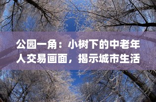 公园一角：小树下的中老年人交易画面，揭示城市生活中不为人知的一面图片集展示