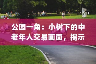 公园一角：小树下的中老年人交易画面，揭示城市生活中不为人知的一面图片集展示