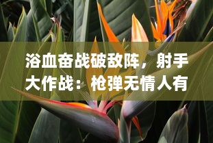 浴血奋战破敌阵，射手大作战：枪弹无情人有情的勇士之歌