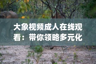 大象视频成人在线观看：带你领略多元化娱乐新体验，探索丰富多彩的成人教育视界 v7.5.4下载