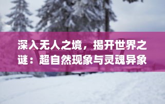 深入无人之境，揭开世界之谜：超自然现象与灵魂异象的科学探灵之旅