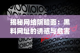 揭秘网络阴暗面：黑料网址的诱惑与危害全解析 v0.2.2下载