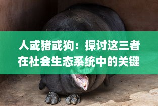 人或猪或狗：探讨这三者在社会生态系统中的关键角色与相互关系的深入研究