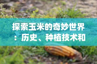 探索玉米的奇妙世界：历史、种植技术和在全球食品产业中的重要地位 v3.4.4下载