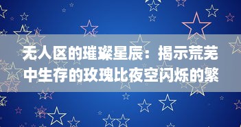 无人区的璀璨星辰：揭示荒芜中生存的玫瑰比夜空闪烁的繁星更引人瞩目多少