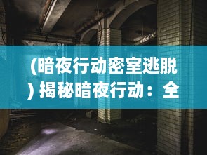 (暗夜行动密室逃脱) 揭秘暗夜行动：全面解析秘密特工生涯的传奇故事，代号：Hunter