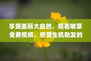 享受美丽大自然，观看嫩草免费视频，感受生机勃发的春天气息