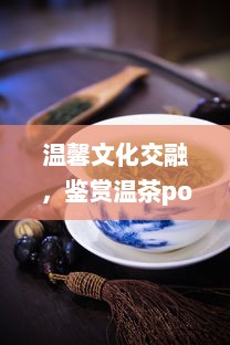 温馨文化交融，鉴赏温茶poH傅舒言：揭秘中国古代茶文化沿革与现代演变 v2.2.0下载