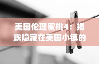 美国伦理蜜桃4：揭露隐藏在美国小镇的复杂人性和激烈情感的深度剖析