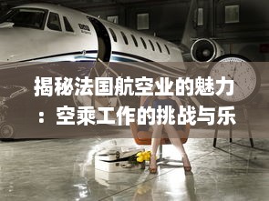 揭秘法国航空业的魅力：空乘工作的挑战与乐趣 v8.2.9下载