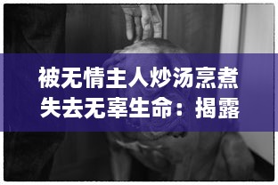 被无情主人炒汤烹煮失去无辜生命：揭露家庭虐待下小狗的无奈与挣扎的小说