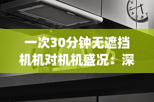 一次30分钟无遮挡机机对机机盛况：深度解析激烈竞争中的技术策略和运行效率