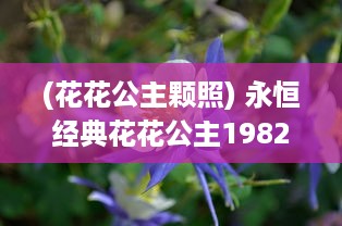 (花花公主颗照) 永恒经典花花公主1982满天星 ：回忆那段如星辰般璀璨的青春岁月