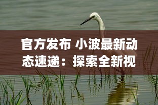 官方发布 小波最新动态速递：探索全新视界，引领科技创新之潮 ，了解详情