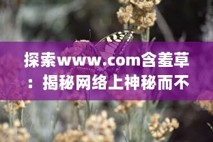 探索www.com含羞草：揭秘网络上神秘而不可思议的自然奇观 v4.6.3下载