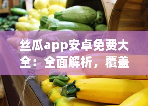 丝瓜app安卓免费大全：全面解析，覆盖热门应用，满足你的一站式需求一键下载，体验极致 v3.3.7下载