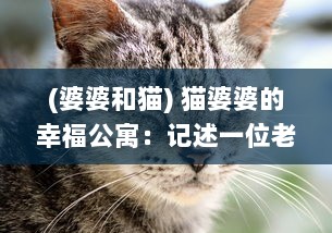 (婆婆和猫) 猫婆婆的幸福公寓：记述一位老人与流浪猫群的感动共生故事