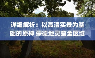 详细解析：以高清实景为基础的原神 蒙德地灵龛全区域分布位置导览图 v2.0.2下载