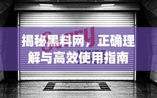 揭秘黑料网，正确理解与高效使用指南