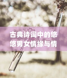 古典诗词中的悠悠男女情缘与情感旅途