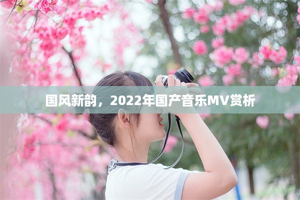 国风新韵，2022年国产音乐MV赏析