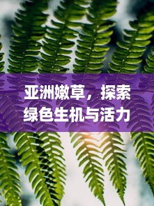 亚洲嫩草，探索绿色生机与活力