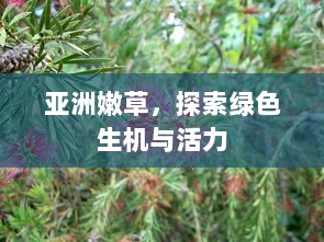 亚洲嫩草，探索绿色生机与活力