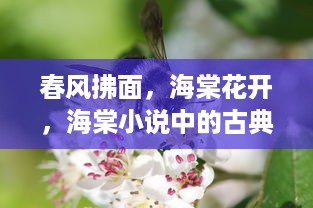 春风拂面，海棠花开，海棠小说中的古典韵味与现实碰撞