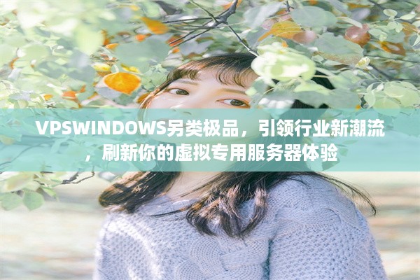 VPSWINDOWS另类极品，引领行业新潮流，刷新你的虚拟专用服务器体验