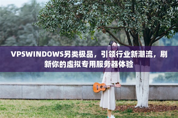 VPSWINDOWS另类极品，引领行业新潮流，刷新你的虚拟专用服务器体验