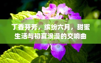 丁香芬芳，缤纷六月，甜蜜生活与初夏浪漫的交响曲