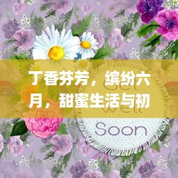 丁香芬芳，缤纷六月，甜蜜生活与初夏浪漫的交响曲