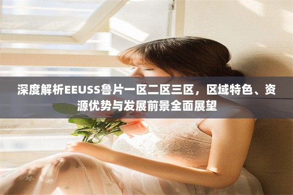 深度解析EEUSS鲁片一区二区三区，区域特色、资源优势与发展前景全面展望