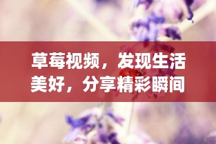 草莓视频，发现生活美好，分享精彩瞬间