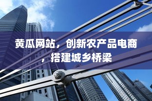 黄瓜网站，创新农产品电商，搭建城乡桥梁