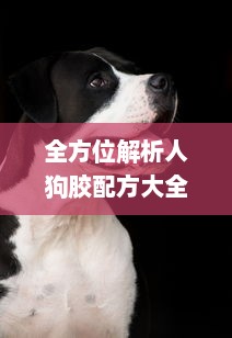 全方位解析人狗胶配方大全，狗狗健康养护的科学指南