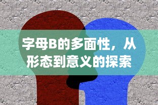 字母B的多面性，从形态到意义的探索