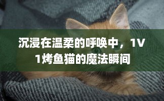 沉浸在温柔的呼唤中，1V1烤鱼猫的魔法瞬间