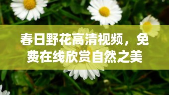 春日野花高清视频，免费在线欣赏自然之美