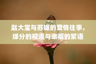 赵大宝与苏媚的爱情往事，缘分的相遇与幸福的絮语